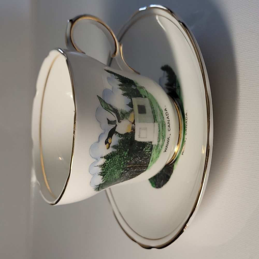 Gladstone  tea cup and saucer made in England bone China